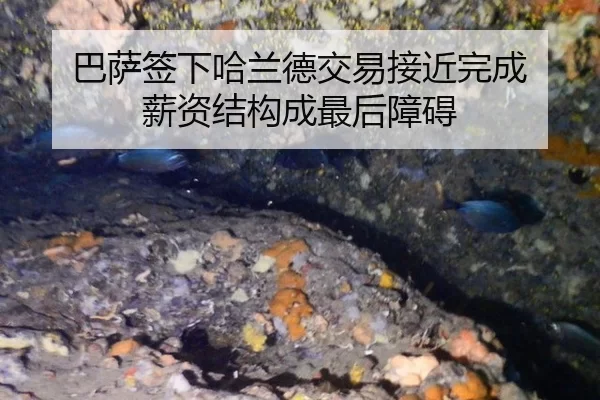 巴萨签下哈兰德交易接近完成 薪资结构成最后障碍