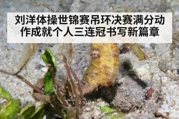 刘洋体操世锦赛吊环决赛满分动作成就个人三连冠书写新篇章